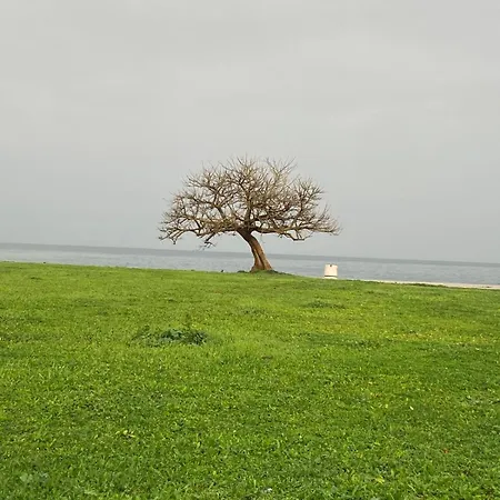 Appartamento I Giardini Di Giulia *